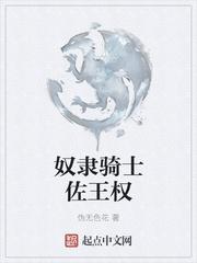 奴隶骑士佐王权
