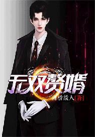 无双赘婿（又名人中之龙、赘婿之王）