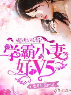 甜婚天定：学霸小妻好V5