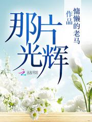 那片光辉