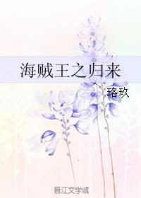 海贼王之归来