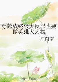 穿越成终极大反派也要做英雄大人物