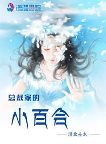 恋爱萌新总裁追妻记