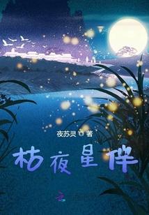枯夜星伴