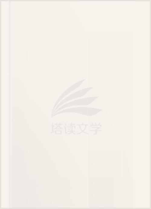 双星录