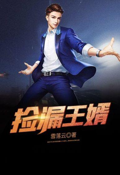 捡漏王婿