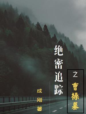 绝密追踪之曹操墓