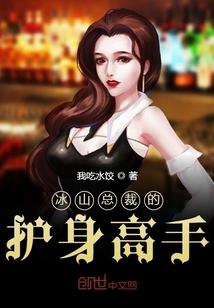 冰山总裁的护身高手
