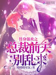 总裁前夫别乱来