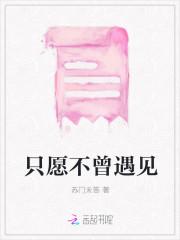 只愿不曾遇见