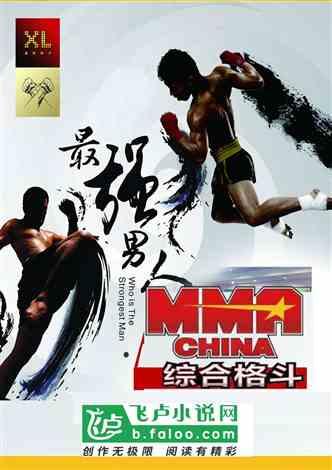 我：MMA综合格斗之王