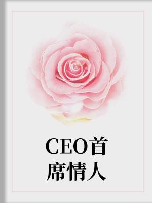 CEO首席情人