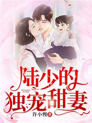 陆少的独宠甜妻