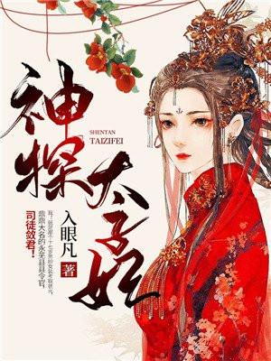 神探太子妃