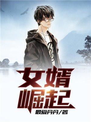 女婿崛起