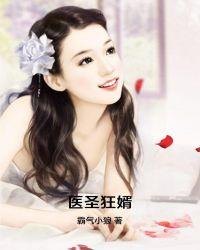 医圣狂婿