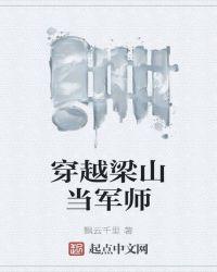 穿越梁山当军师