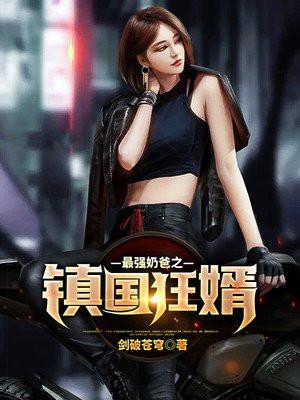 最强奶爸之镇国狂婿
