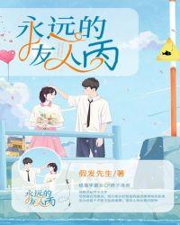永远的友人丙