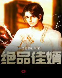 绝品佳婿