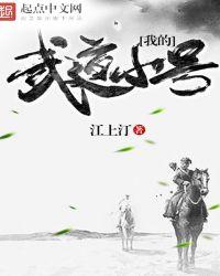 我的武道小号