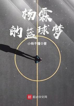杨霖的篮球梦
