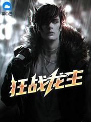龙主叶无道