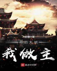 你的大明我做主