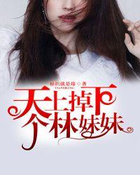 天上掉下个林妹妹