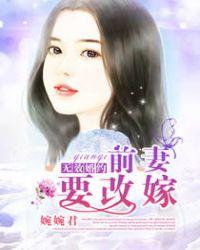苏牧婉陆景