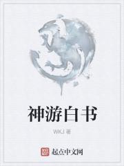 神游白书