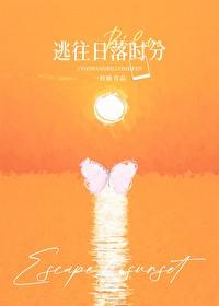逃往日落时分